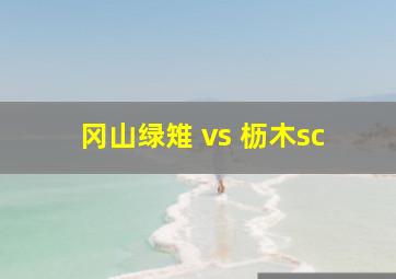 冈山绿雉 vs 枥木sc